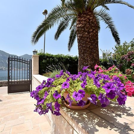 Apartamento Maniva Penthouse By The Sea Kotor Exterior foto