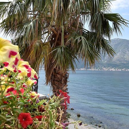 Apartamento Maniva Penthouse By The Sea Kotor Exterior foto